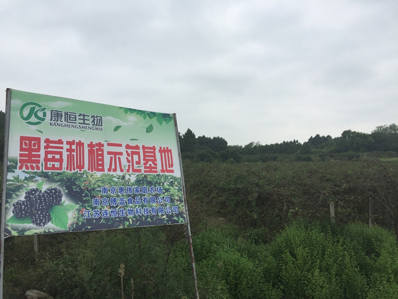 南京傅藍(lán)食品有限公司種植基地