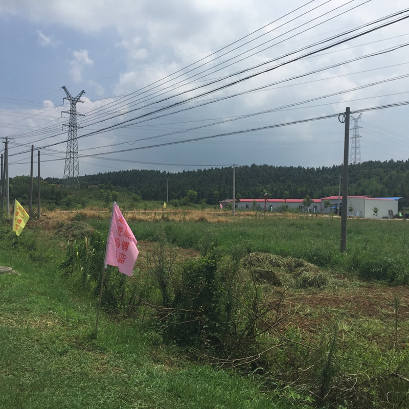 南京傅藍(lán)食品有限公司種植基地